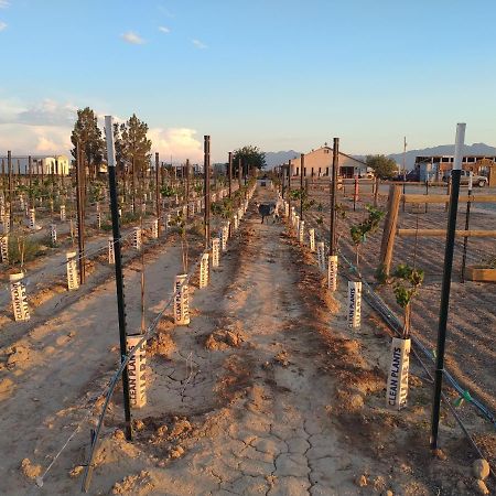 Black Star Ranch Vineyard Pahrump Exterior photo